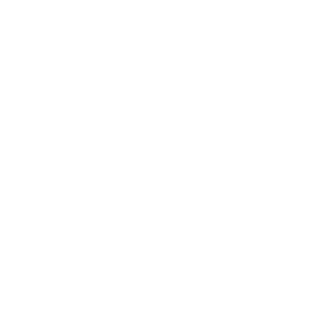 Nightstorm Logo